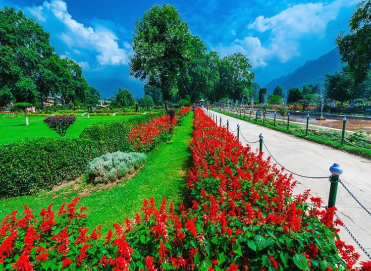 Kashmir-3